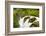 Wa, Olympic National Park, Sol Duc Falls-Jamie And Judy Wild-Framed Photographic Print