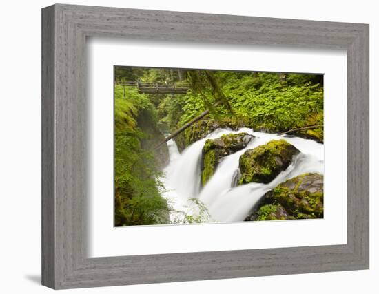 Wa, Olympic National Park, Sol Duc Falls-Jamie And Judy Wild-Framed Photographic Print