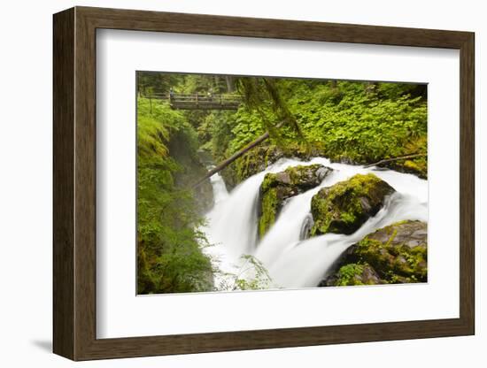 Wa, Olympic National Park, Sol Duc Falls-Jamie And Judy Wild-Framed Photographic Print