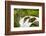 Wa, Olympic National Park, Sol Duc Falls-Jamie And Judy Wild-Framed Photographic Print