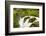 Wa, Olympic National Park, Sol Duc Falls-Jamie And Judy Wild-Framed Photographic Print