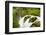 Wa, Olympic National Park, Sol Duc Falls-Jamie And Judy Wild-Framed Photographic Print