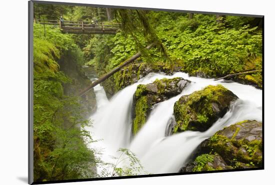 Wa, Olympic National Park, Sol Duc Falls-Jamie And Judy Wild-Mounted Photographic Print