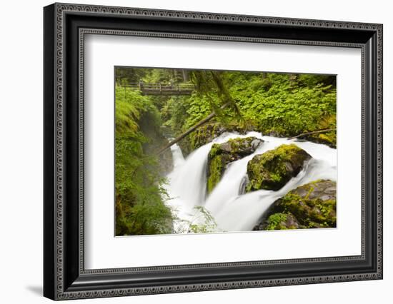 Wa, Olympic National Park, Sol Duc Falls-Jamie And Judy Wild-Framed Photographic Print