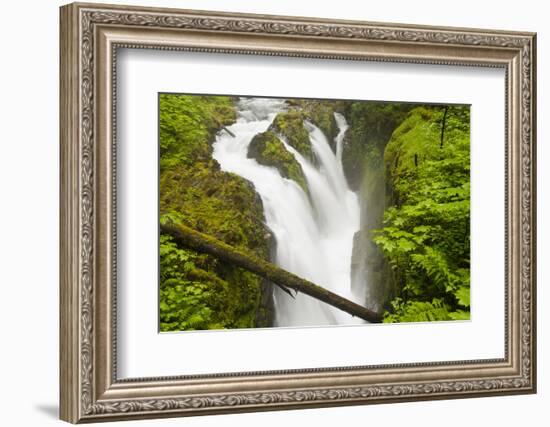 Wa, Olympic National Park, Sol Duc Falls-Jamie And Judy Wild-Framed Photographic Print