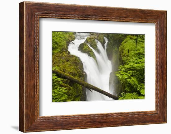 Wa, Olympic National Park, Sol Duc Falls-Jamie And Judy Wild-Framed Photographic Print