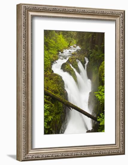 Wa, Olympic National Park, Sol Duc Falls-Jamie And Judy Wild-Framed Photographic Print