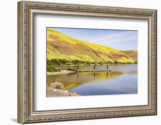 WA. Palouse, Garfield County, Port of Garfield County on Snake River, Lake Bryan-Alison Jones-Framed Photographic Print