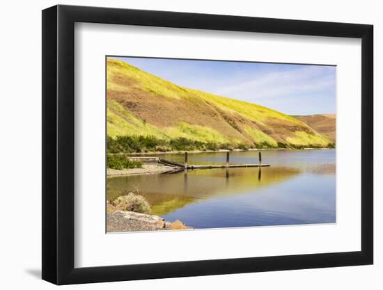 WA. Palouse, Garfield County, Port of Garfield County on Snake River, Lake Bryan-Alison Jones-Framed Photographic Print