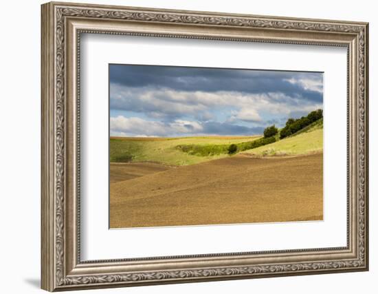 WA. Palouse, Whitman County, Palouse hills between St. John and Endicott-Alison Jones-Framed Photographic Print