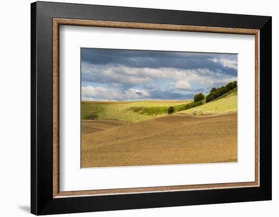 WA. Palouse, Whitman County, Palouse hills between St. John and Endicott-Alison Jones-Framed Photographic Print