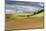 WA. Palouse, Whitman County, Palouse hills between St. John and Endicott-Alison Jones-Mounted Photographic Print