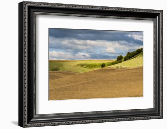 WA. Palouse, Whitman County, Palouse hills between St. John and Endicott-Alison Jones-Framed Photographic Print