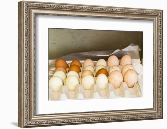 WA, Palouse, Whitman County. Pioneer Stock Farm, farm eggs in root cellar-Alison Jones-Framed Photographic Print