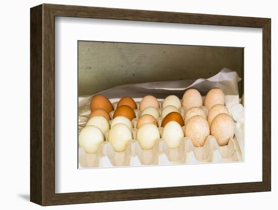 WA, Palouse, Whitman County. Pioneer Stock Farm, farm eggs in root cellar-Alison Jones-Framed Photographic Print