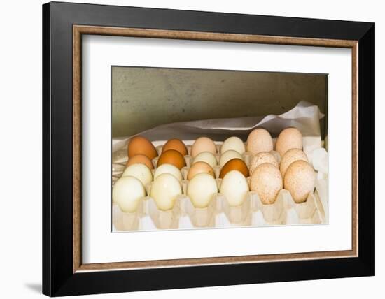 WA, Palouse, Whitman County. Pioneer Stock Farm, farm eggs in root cellar-Alison Jones-Framed Photographic Print