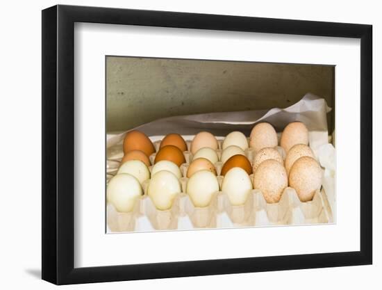 WA, Palouse, Whitman County. Pioneer Stock Farm, farm eggs in root cellar-Alison Jones-Framed Photographic Print