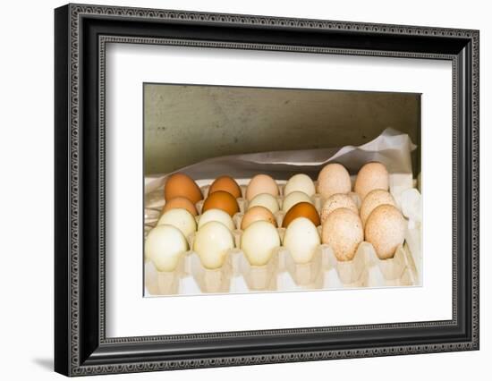 WA, Palouse, Whitman County. Pioneer Stock Farm, farm eggs in root cellar-Alison Jones-Framed Photographic Print