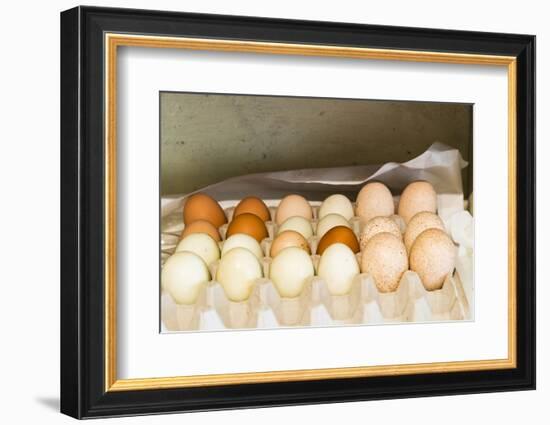 WA, Palouse, Whitman County. Pioneer Stock Farm, farm eggs in root cellar-Alison Jones-Framed Photographic Print