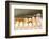 WA, Palouse, Whitman County. Pioneer Stock Farm, farm eggs in root cellar-Alison Jones-Framed Photographic Print