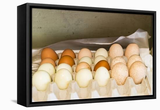 WA, Palouse, Whitman County. Pioneer Stock Farm, farm eggs in root cellar-Alison Jones-Framed Premier Image Canvas