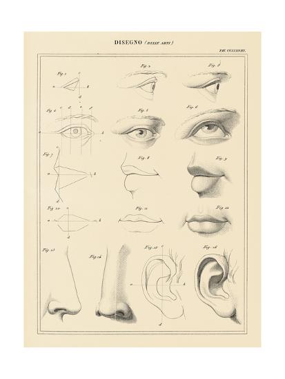 Art Print, , large