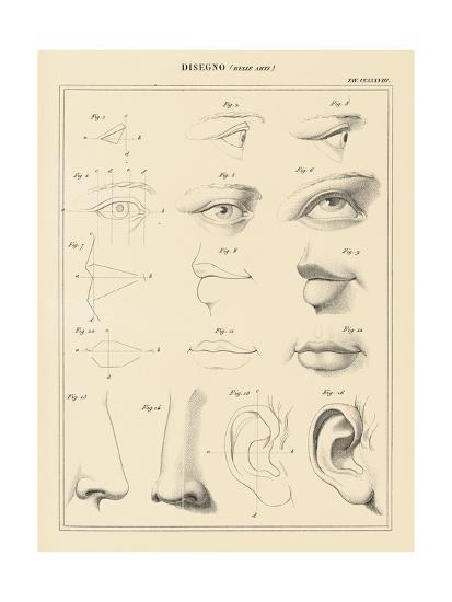 Art Print, , large