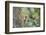 WA. Red-breasted Sapsucker flying from nest in a red alder snag while mate looks on.-Gary Luhm-Framed Photographic Print