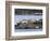 Wa, San Juan Islands, Haro Strait, Harbor Seals, Phoca Vitulina-Jamie And Judy Wild-Framed Photographic Print