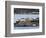 Wa, San Juan Islands, Haro Strait, Harbor Seals, Phoca Vitulina-Jamie And Judy Wild-Framed Photographic Print