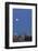 Wa, Seattle, Skyline View from Kerry Park, with Full Moon-Jamie And Judy Wild-Framed Photographic Print