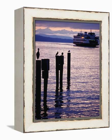 Wa State Ferry Coming in to Dock, Seattle, Washington, USA-Lawrence Worcester-Framed Premier Image Canvas