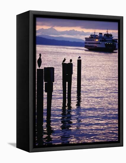 Wa State Ferry Coming in to Dock, Seattle, Washington, USA-Lawrence Worcester-Framed Premier Image Canvas