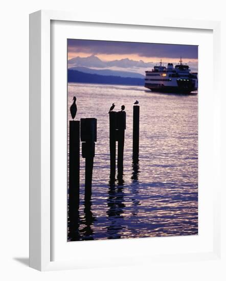 Wa State Ferry Coming in to Dock, Seattle, Washington, USA-Lawrence Worcester-Framed Photographic Print