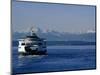 Wa State Ferry Nearing Colman, Seattle, Washington, USA-Lawrence Worcester-Mounted Photographic Print