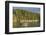 Wa State Ferry View Near Orcas Island, San Juan Islands, Wa-Stuart Westmorland-Framed Photographic Print