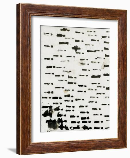 Wabi Sabi Lines Black and White Watercolour-Iris Lehnhardt-Framed Photographic Print