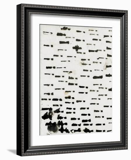 Wabi Sabi Lines Black and White Watercolour-Iris Lehnhardt-Framed Photographic Print