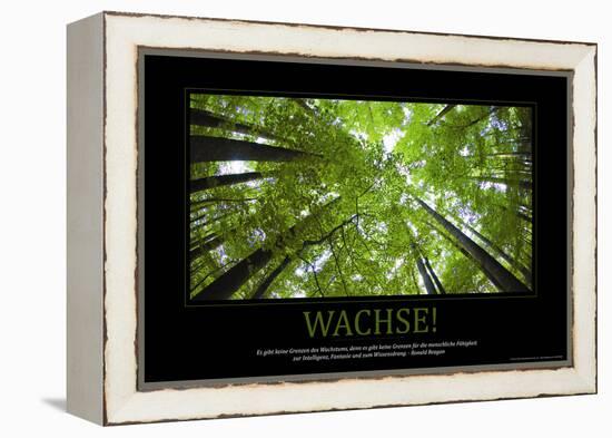 Wachse! (German Translation)-null-Framed Stretched Canvas