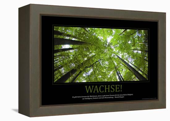 Wachse! (German Translation)-null-Framed Stretched Canvas