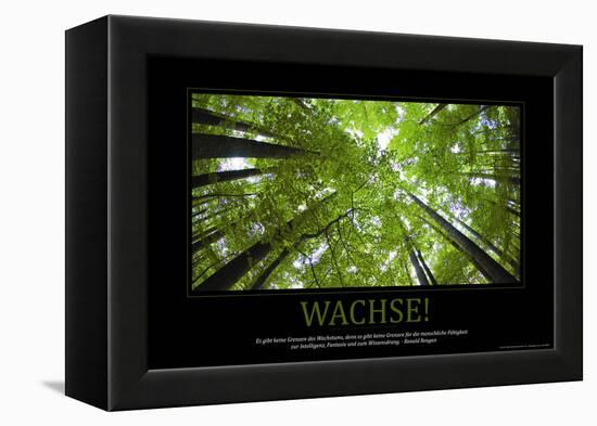 Wachse! (German Translation)-null-Framed Stretched Canvas