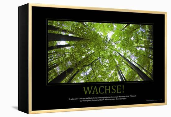 Wachse! (German Translation)-null-Framed Stretched Canvas