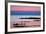 Waders on Sea Shore at Sunset, Hallig Hooge, Germany, April 2009 Wwe Book-Novák-Framed Photographic Print