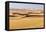 Wadi al Hitan, Faiyum, Egypt. Sand dunes in the desert at Wadi el-Hitan paleontological site.-Emily Wilson-Framed Premier Image Canvas