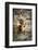 Wadi Bani Khalid, Oman, Middle East-Angelo Cavalli-Framed Photographic Print