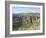 Wadi Qadisha, UNESCO World Heritage Site, Qadisha Valley, Lebanon, Middle East-Wendy Connett-Framed Photographic Print