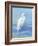 Wading Egret I-Sally Swatland-Framed Art Print