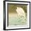 Wading Egret-Koson Ohara-Framed Giclee Print