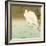 Wading Egret-Koson Ohara-Framed Giclee Print