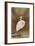 Wading Egret-Koson Ohara-Framed Giclee Print